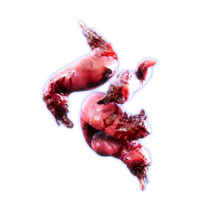 Dr. Giblets' Giblets.webp