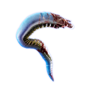 Douglas' Tentacle.webp