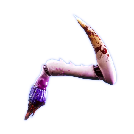 File:9-Torg's Mandible.webp